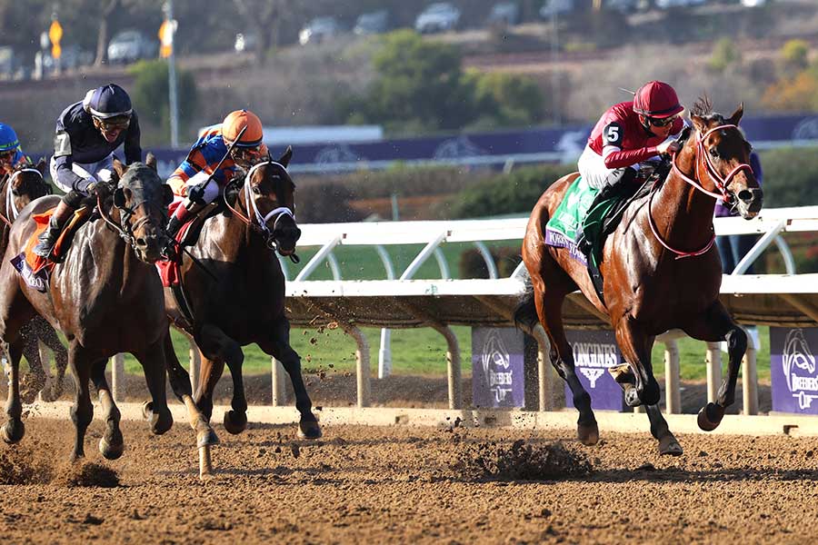 ブリーダーズカップBCクラシックで優勝したフォーエバーヤング（先頭）【写真：UPI/アフロ】