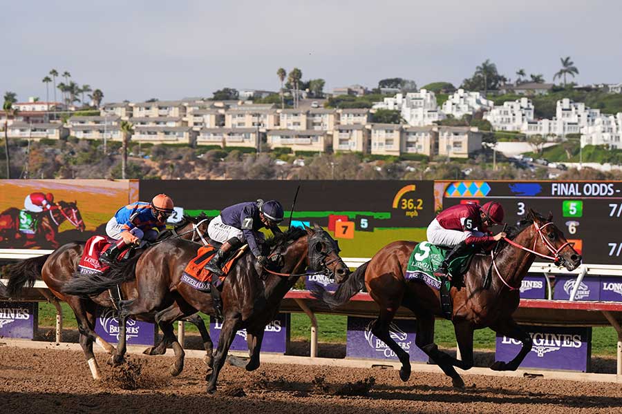 ブリーダーズカップBCクラシックで優勝したフォーエバーヤング(先頭)【写真:AP/アフロ】