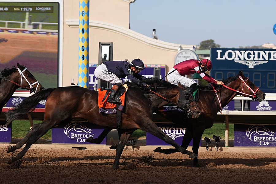 ブリーダーズカップBCクラシックで優勝したフォーエバーヤング（右）【写真：AP/アフロ】