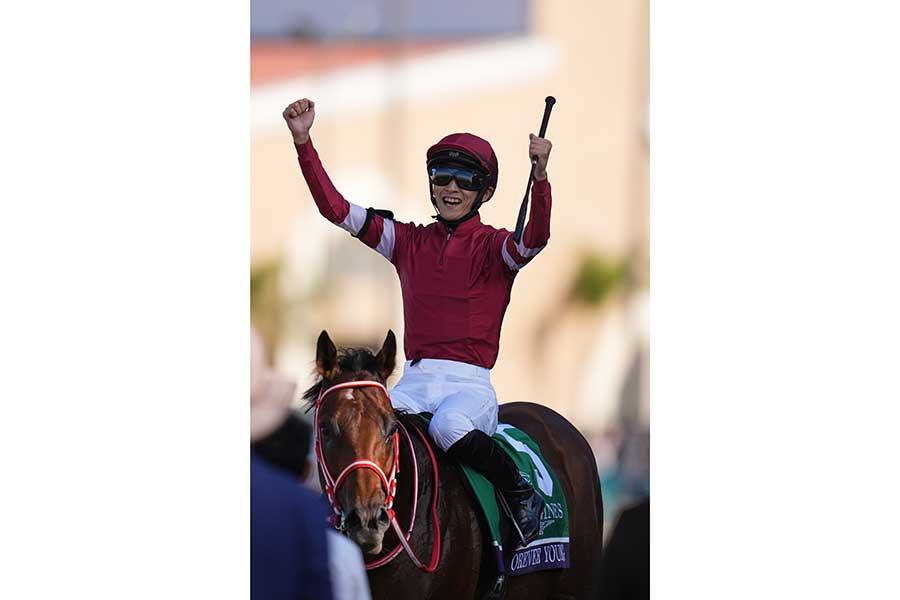 ブリーダーズカップBCクラシックで優勝したフォーエバーヤング(右)【写真:UPI/アフロ】