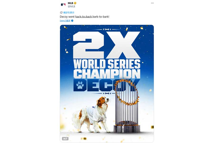 大谷の愛犬デコピンが世界一を祝福した1枚（MLB公式Xのスクリーンショット）
