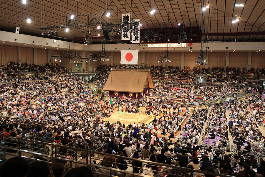 大物女性が大相撲九州場所に訪れていた【写真：スポーツ報知/アフロ】