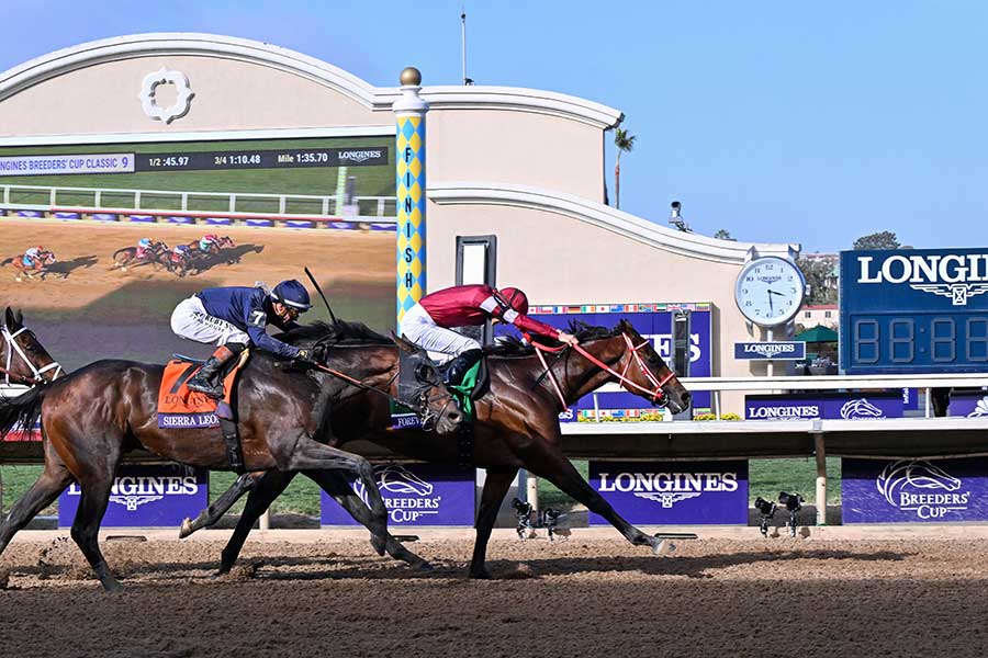 ブリーダーズカップBCクラシックで優勝したフォーエバーヤング（右）【写真：AP/アフロ】