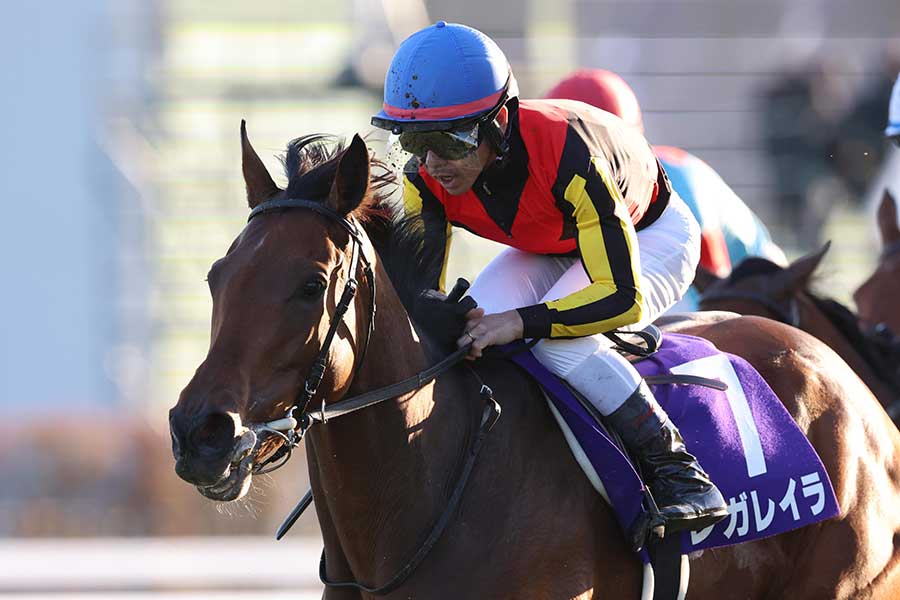 エリザベス女王杯を制したレガレイラ、戸崎圭太騎手【写真:産経新聞社】