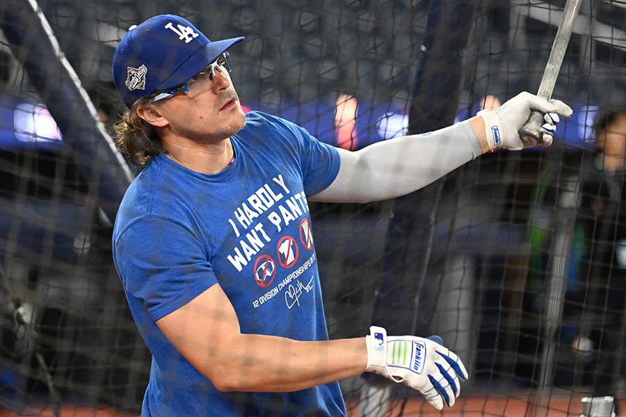 ドジャースのエンリケ・ヘルナンデス【写真:ロイター】