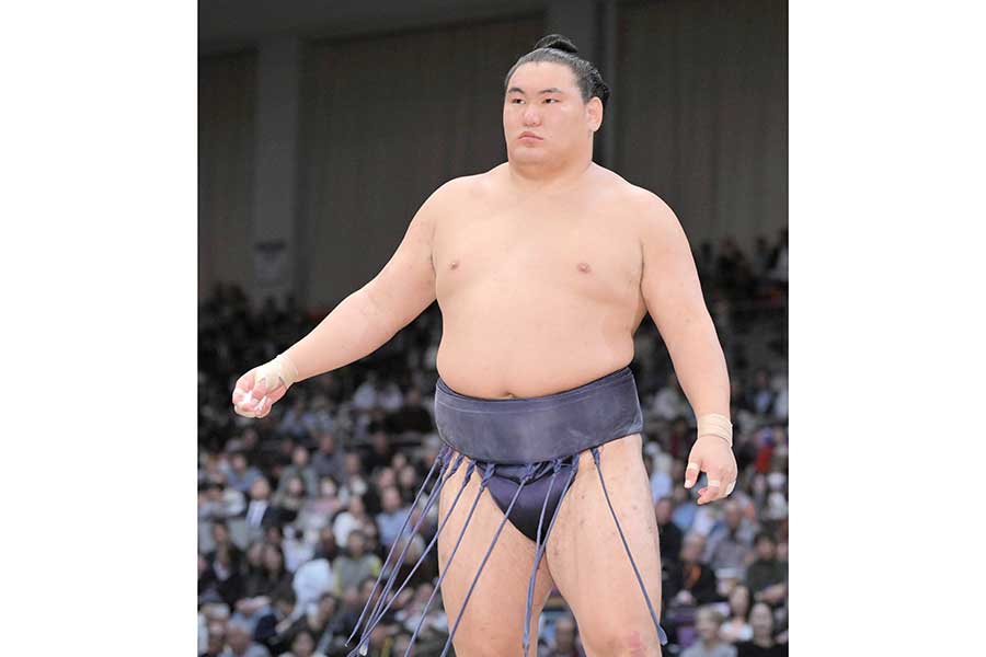 豊昇龍【写真：スポーツ報知/アフロ】