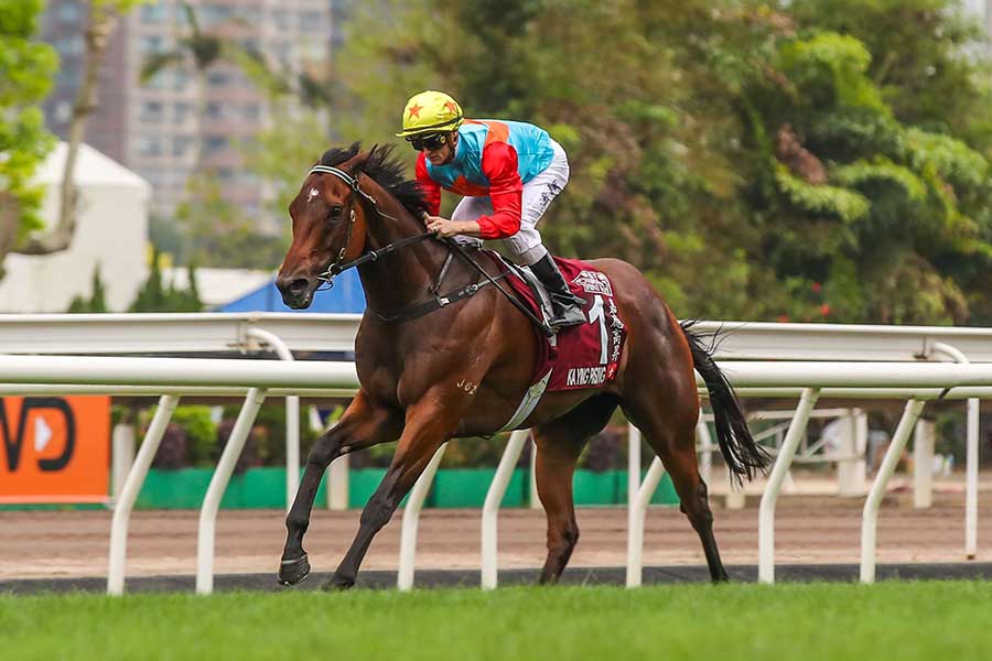 カーインライジング【写真:REX/アフロ】