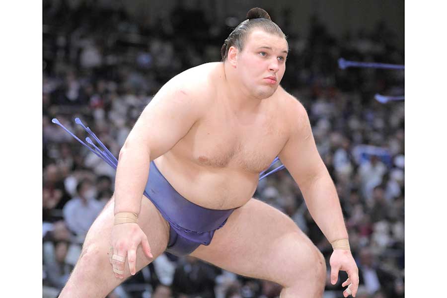 安青錦【写真:スポーツ報知/アフロ】