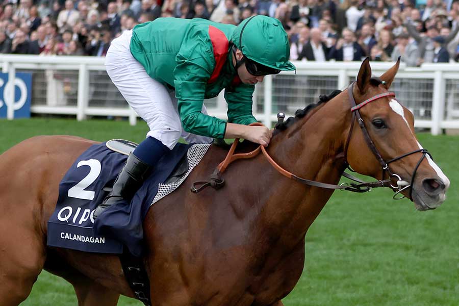 今年の欧州競馬年度代表馬に選ばれたカランダガン【写真:PA Images/アフロ】