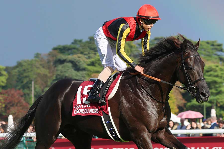 今年のダービー馬クロワデュノール【写真:スポーツ報知/アフロ】