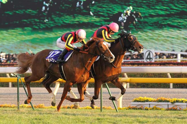 今見ても鳥肌」伝説のJCに競馬ファン涙 馬体ぶつけあい…3冠馬の