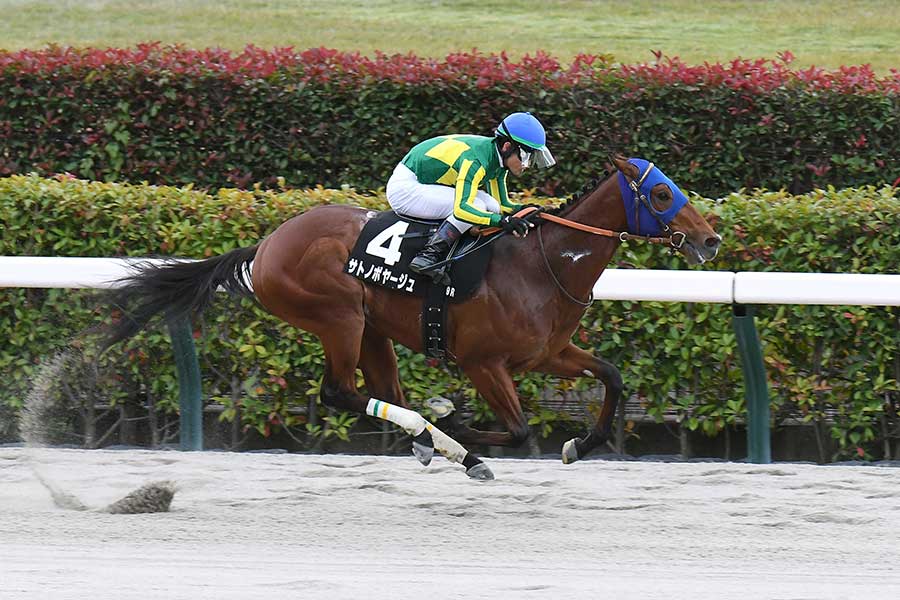 中央競馬のカトレアSで優勝したサトノボヤージュ【写真:産経新聞社】