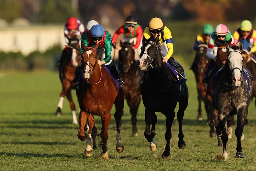 騎手を乗せずに走り切ったアドマイヤテラ（右）【写真：産経新聞社】