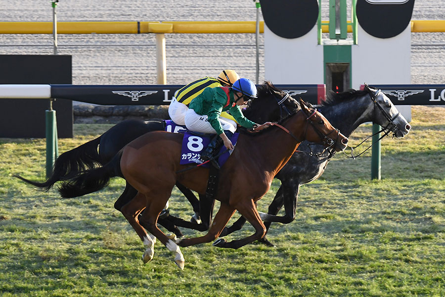 カラ馬のままゴールしたアドマイヤテラ（一番奥）【写真：産経新聞社】