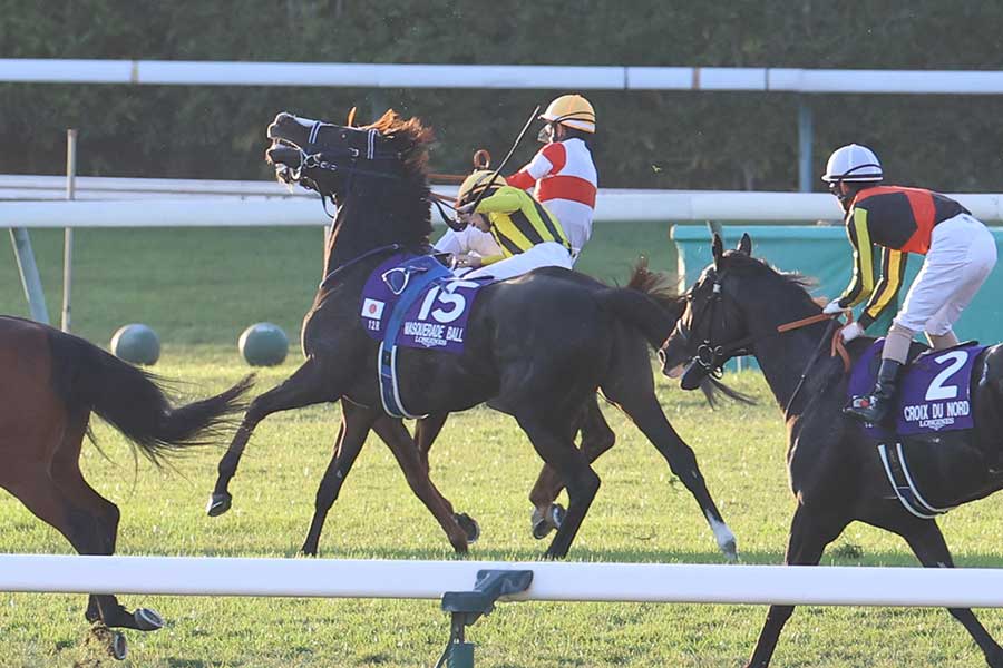 ゴール後、マスカレードボールと接触したダノンデサイル（奥）【写真：産経新聞社】