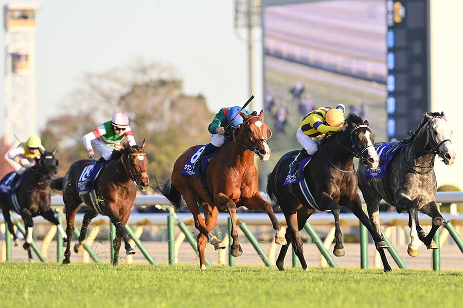 ジャパンカップで優勝したカランダガン(中央)【写真:産経新聞社】