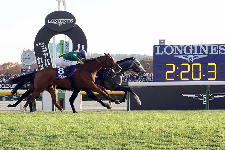 ジャパンカップで優勝したカランダガン(手前)【写真:産経新聞社】