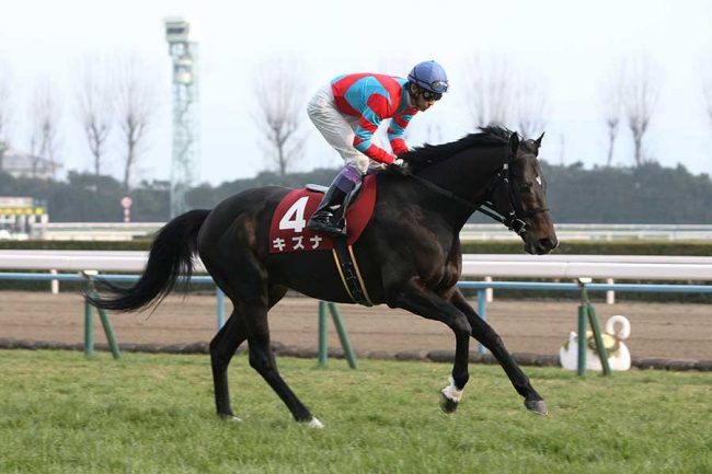 争奪戦になりそう」競馬ファン騒然の