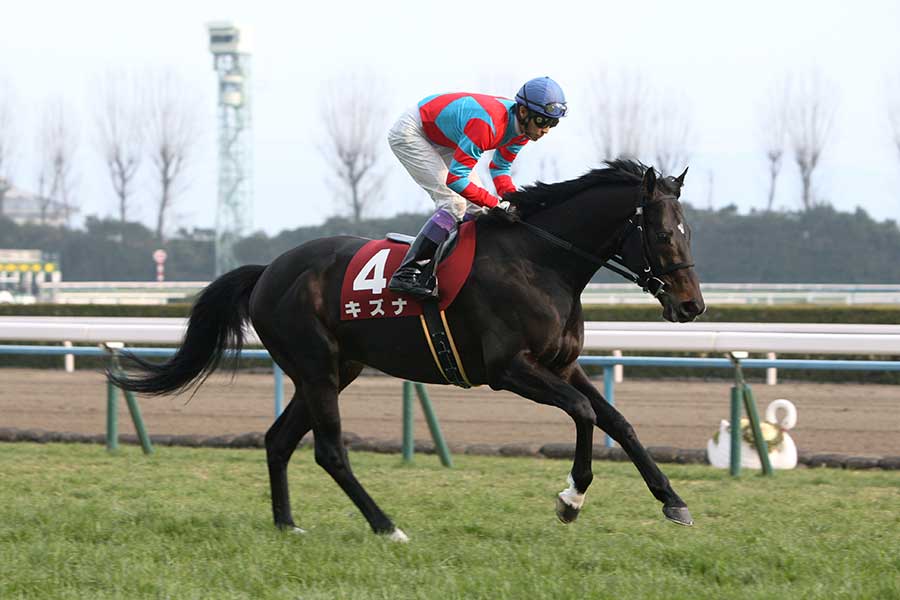 キズナと武豊騎手（写真は2015年）【写真：山根英一/アフロ】