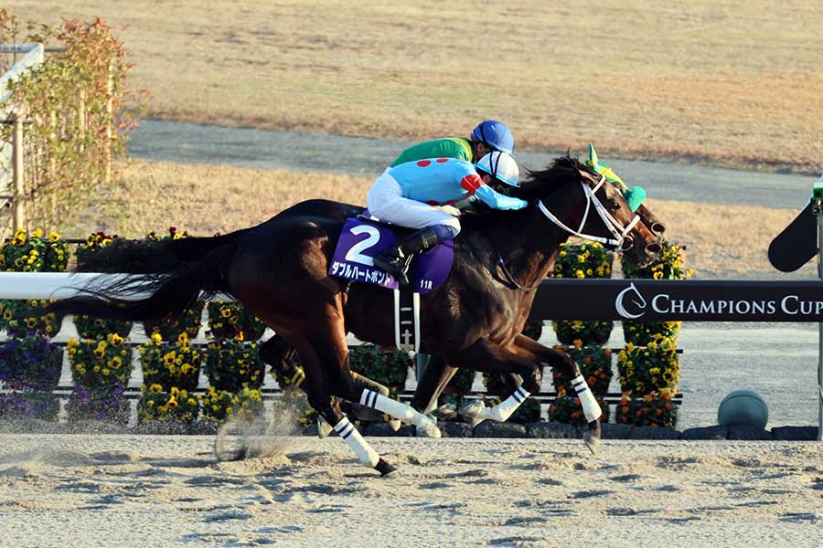 G1・チャンピオンズカップを制したダブルハートボンド(手前)【写真:産経新聞社】