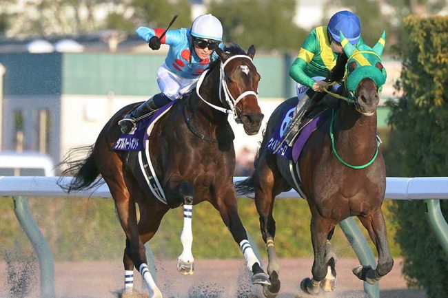 競馬G1レース直前、中継で抜かれた芸能人に騒然「誰だと思ったら」「髪