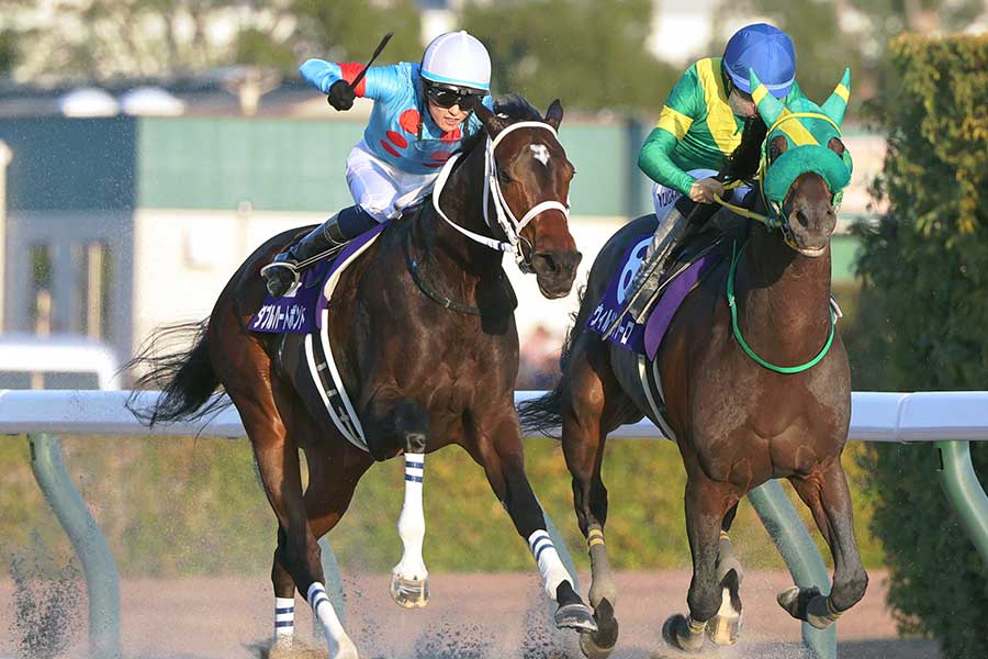 G1・チャンピオンズカップはダブルハートボンド（左）が制した【写真：スポーツ報知/アフロ】