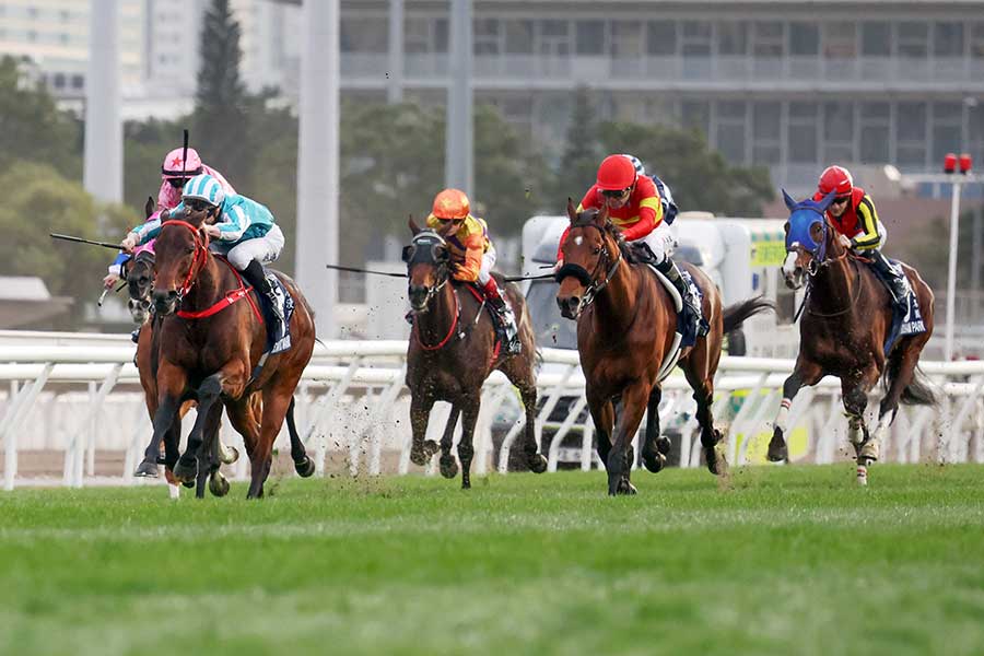 G1・香港カップで2着となったべラジオオペラ(右前)【写真:アフロ】