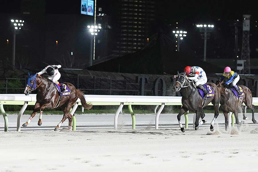 帝王賞で優勝したミッキーファイト(左)【写真:スポーツ報知/アフロ】