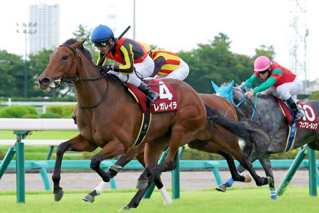 3連単みたいなオッズ」 有馬記念で指定席争奪戦、競馬ファン悲鳴