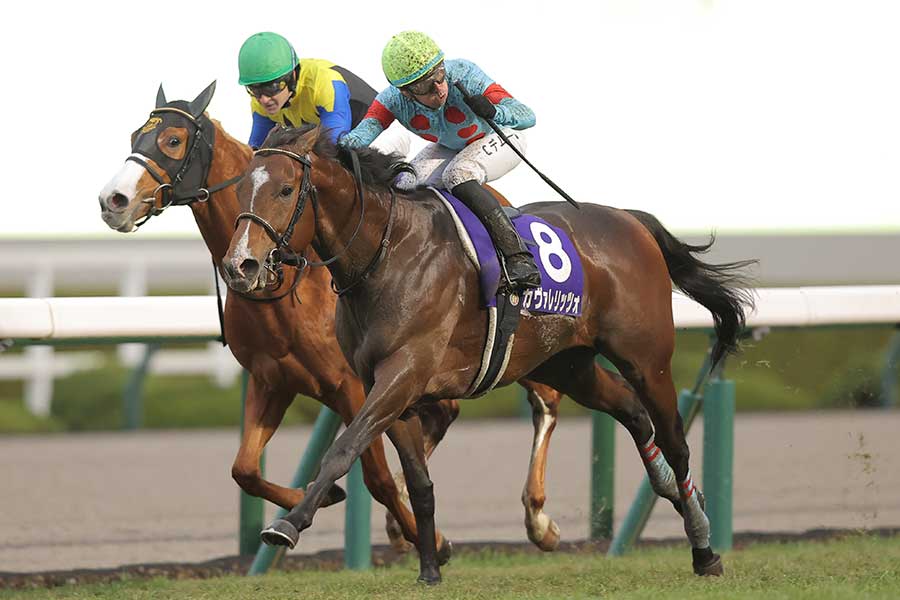 G1朝日杯FSを制したカヴァレリッツォ【写真：産経新聞社】