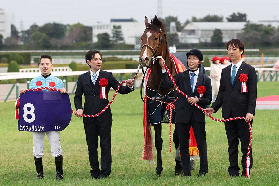 G1朝日杯FSを制したカヴァレリッツォ【写真：スポーツ報知/アフロ】