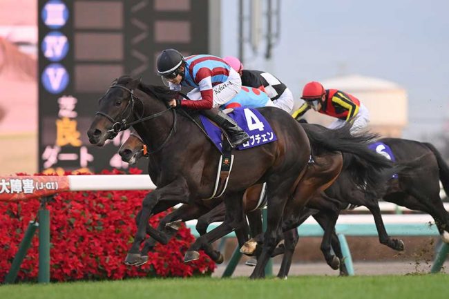 日本中央競馬会 有馬記念 40回記念 トランプ 有馬記念】中央競馬の1年