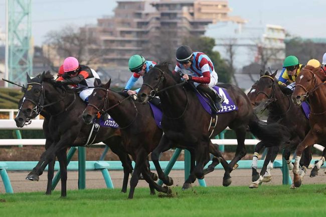 有馬記念前日に「めっちゃ目立つ」「イケオジすぎる」 中山で騒然