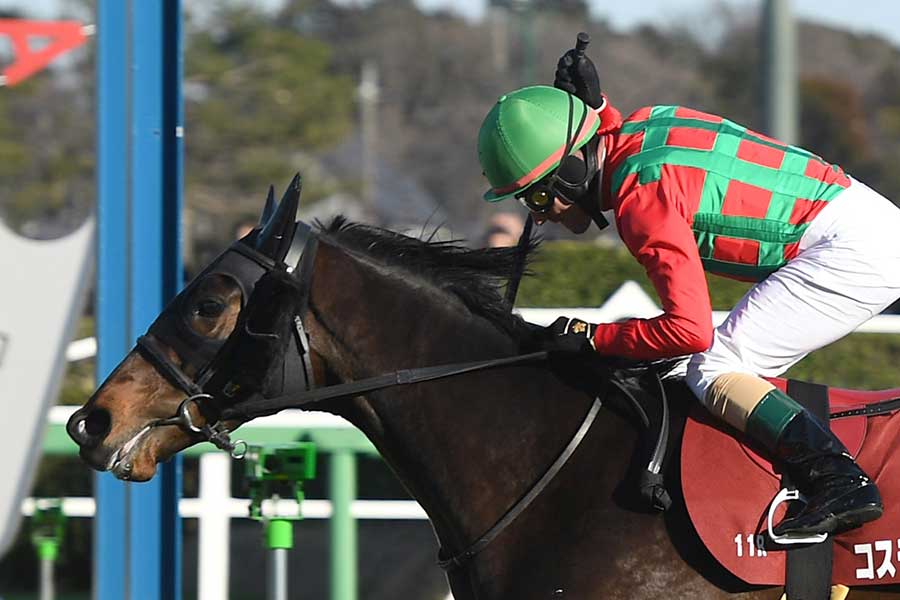 コスモキュランダ（撮影は2024年）【写真：産経新聞社】
