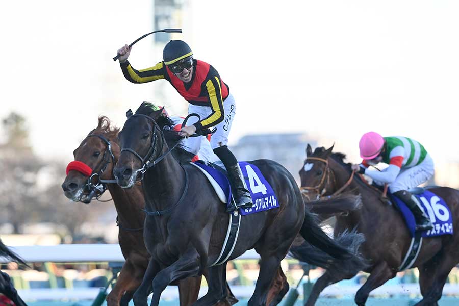 第70回有馬記念を制したミュージアムマイル【写真：産経新聞社】