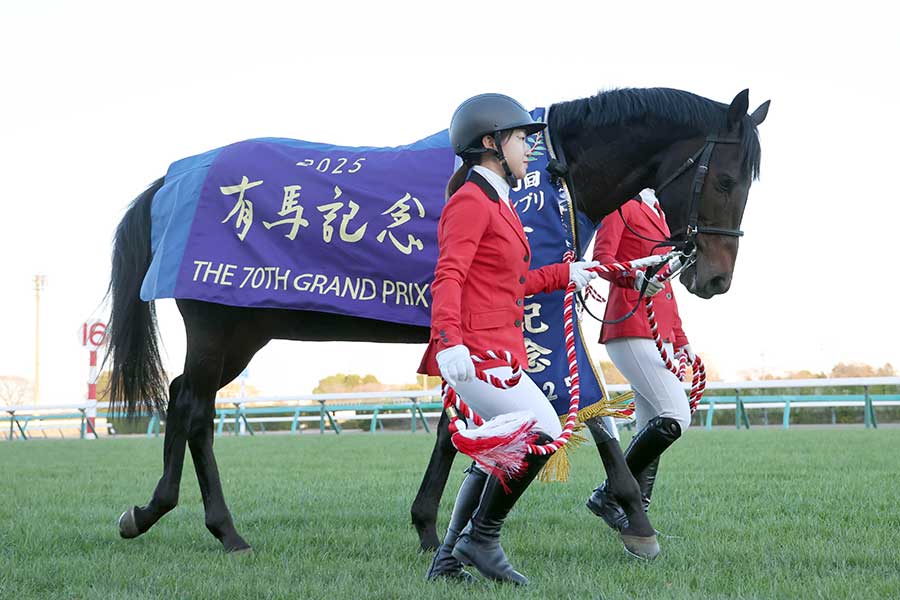 第70回有馬記念を制したミュージアムマイル【写真：産経新聞社】