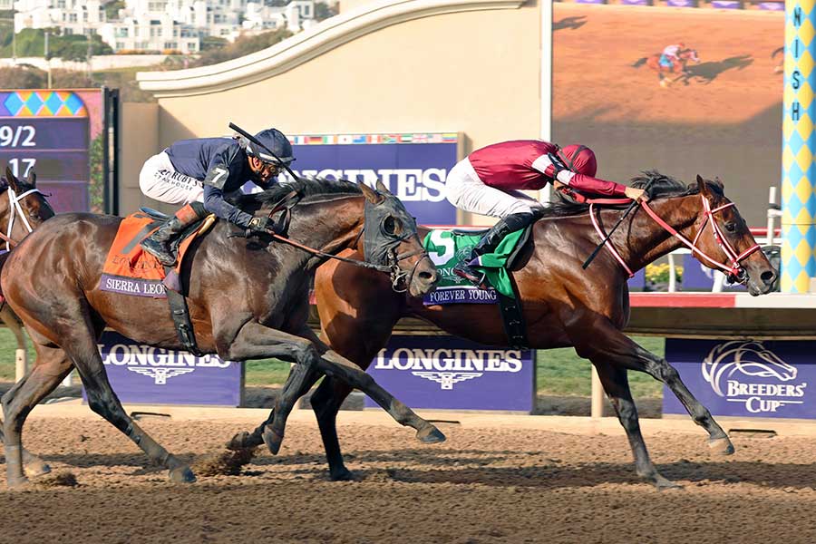 BCクラシックで優勝したフォーエバーヤング(右)【写真:スポーツ報知/アフロ】