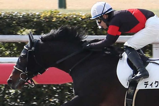 東京大賞典の結末にネット衝撃「大荒れ…」「明日も賭けよう」 単勝1.4