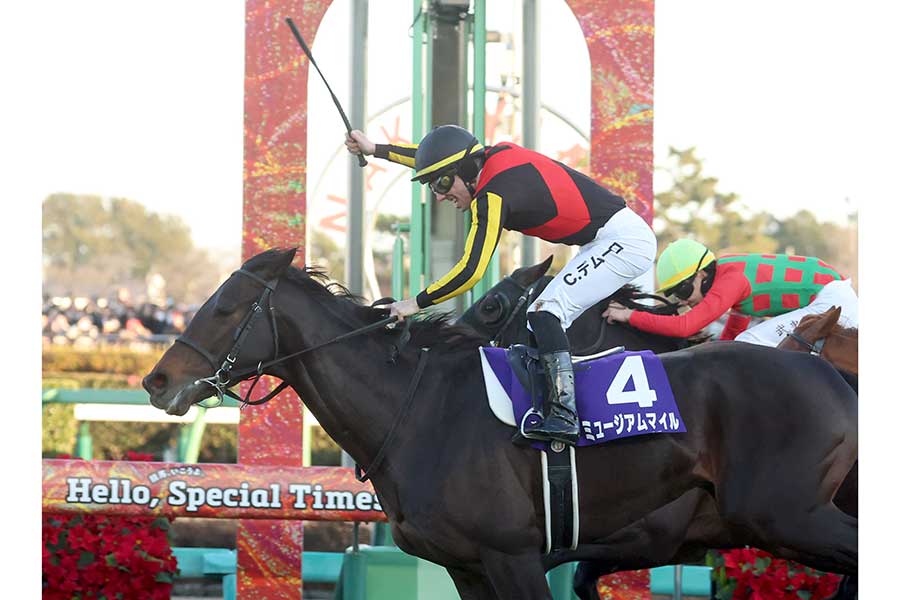 第70回有馬記念を制したミュージアムマイル【写真：産経新聞社】