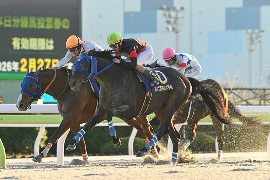 東京大賞典を制した10番ディクテオン【写真:産経新聞社】