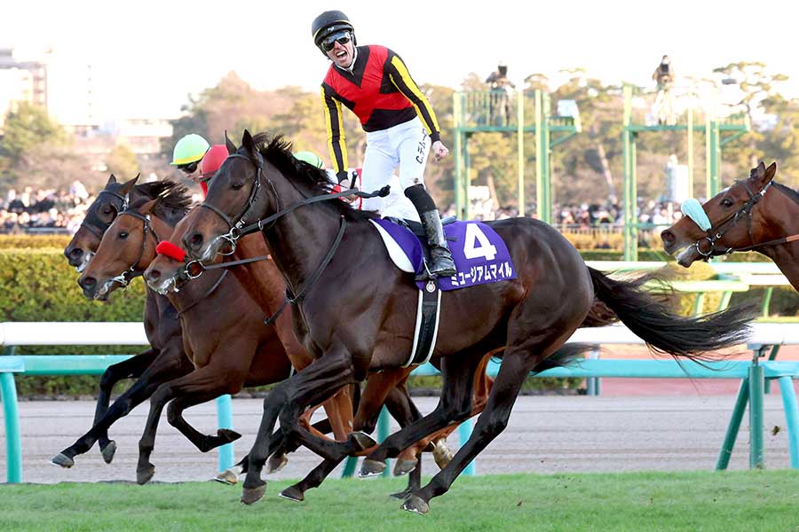 有馬記念を制したミュージアムマイル（中央）【写真：スポーツ報知/アフロ】