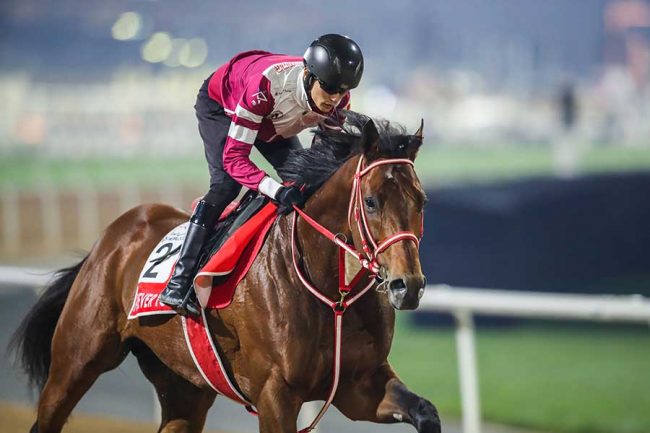 フォーエバーヤングがJRA賞3冠 馬主の「ウマ娘」藤田晋「前世は国か