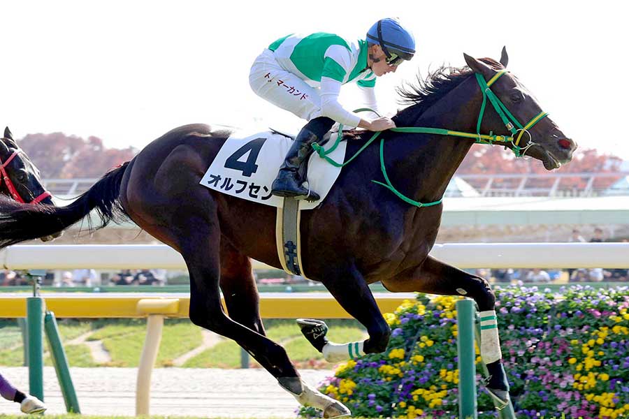 日本で騎乗したトム・マーカンド【写真：スポーツ報知/アフロ】