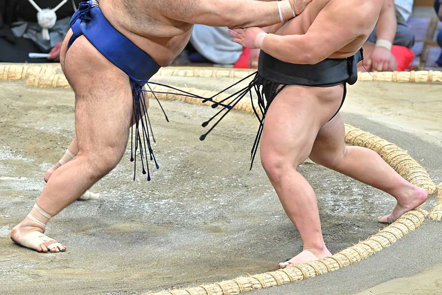 大相撲初場所の中継に映った大物が話題に【写真：スポーツ報知/アフロ】