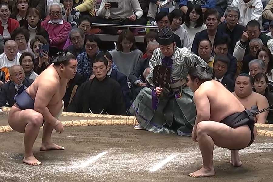 豊昇龍（左）が手にした懸賞金に注目【写真：（C）AbemaTV,Inc.】