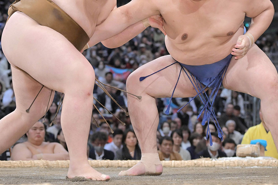 大相撲初場所で改名を発表した力士の化粧まわしが話題となった（画像はイメージ）【写真：スポーツ報知/アフロ】