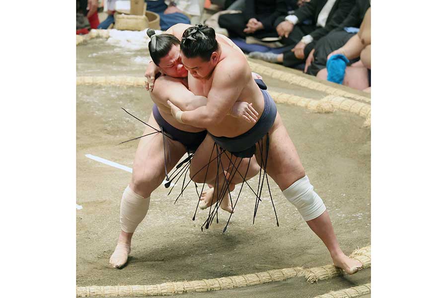 大相撲初場所を観戦したタレントが話題【写真:スポーツ報知/アフロ】