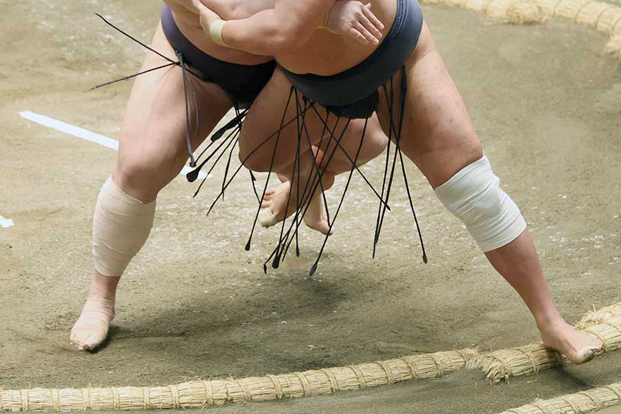 午前中から大相撲中継に映った男性が話題【写真：スポーツ報知/アフロ】