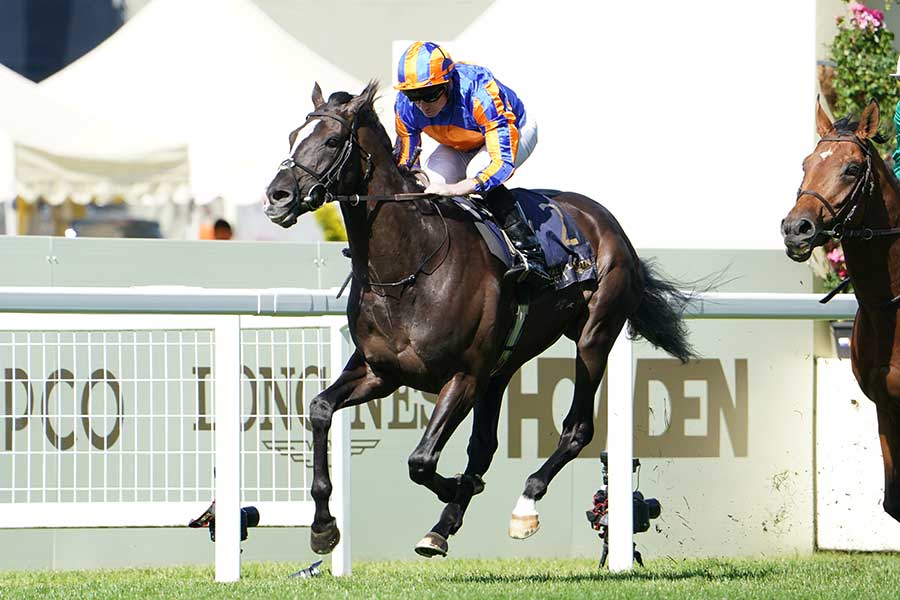 英G1プリンスオブウェールズステークスを制したオーギュストロダン【写真：ZUMA Press/アフロ】