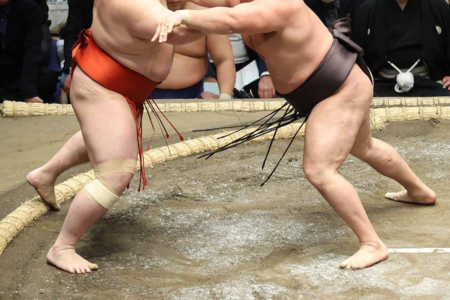 大相撲初場所を生観戦した好角家タレントが話題となった（画像はイメージ）【写真：スポーツ報知/アフロ】